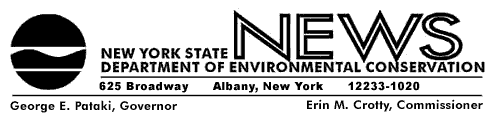 newsletter graphic